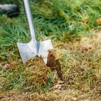 Big Dig at Easter Bush