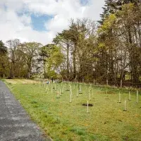 New trees planted at Easter Bush