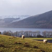 Views around Killin