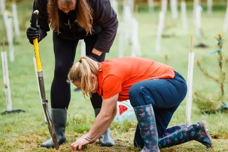 Big Dig Event at Easter Bush