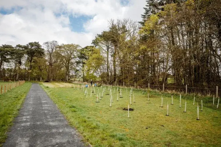 New trees planted at Easter Bush