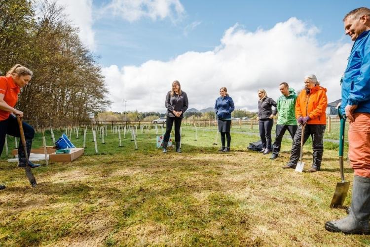 Group planting trees for the Big Dig