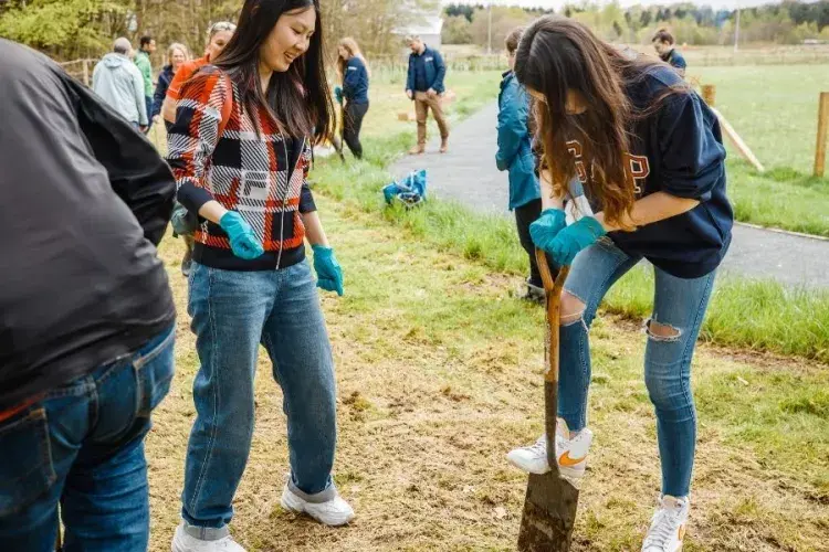 Group of people planting trees