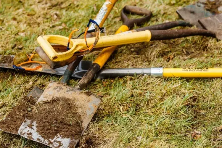 Big Dig equipment