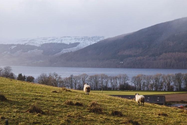 Views around Killin